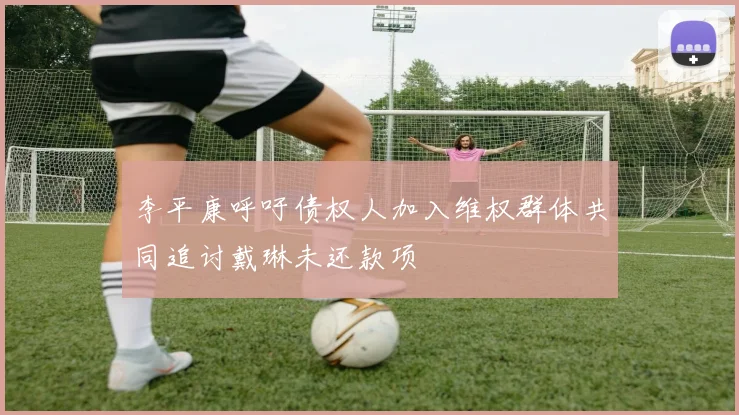 李平康呼吁债权人加入维权群体共同追讨戴琳未还款项