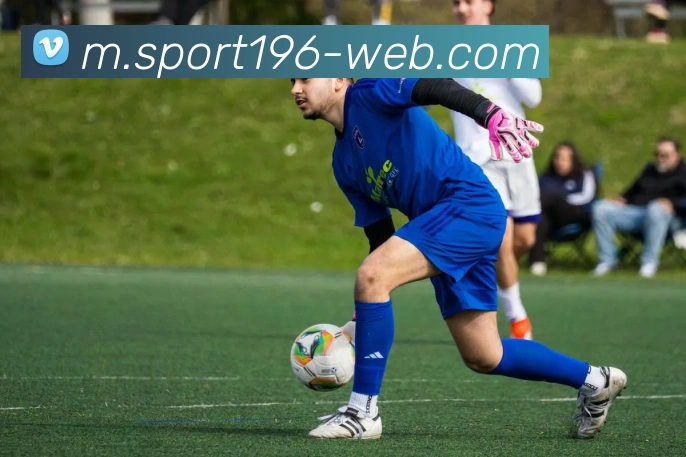 196体育平台生态图