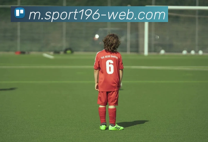 196体育APP 封面图